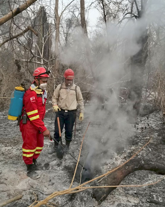 En el Centro de Operaciones de Emergencia Departamental (Coed) informaron que suma un nuevo municipio afectado por incendios forestales este es, Santa Rosa del Sara. En el mes se registró 755 focos de quema y 27 incendios activos en el departamento. 